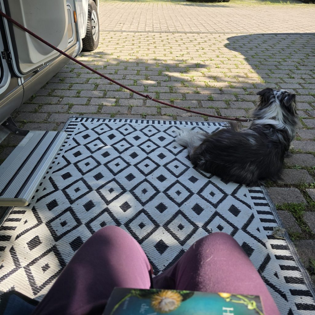 ein Hund liegt im Schatten auf einer schwarz-weißen Matte neben der offenen Seitentür des Wohnmobils, im Hintergrund steht vor einer Wiese ein PKW in der Sonne